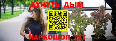 мяу мяу мука Лесосибирск